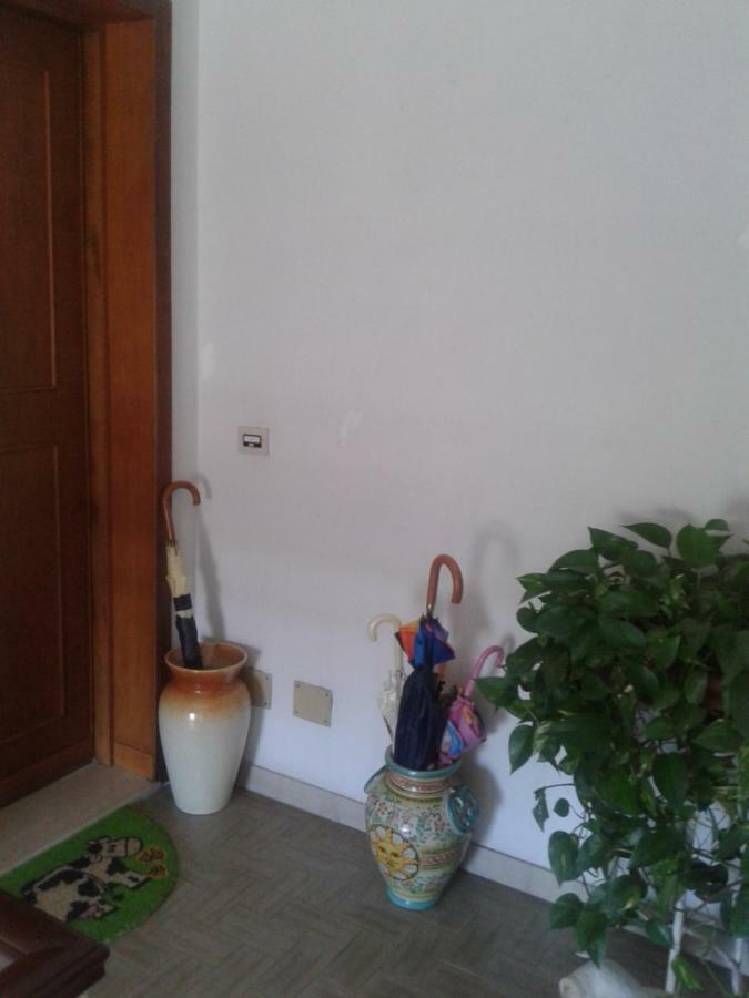 Shanty Apartment